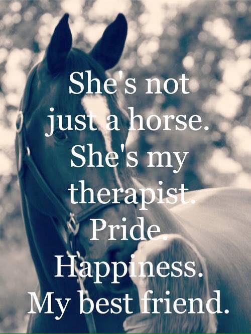 Horse Riding Quotes